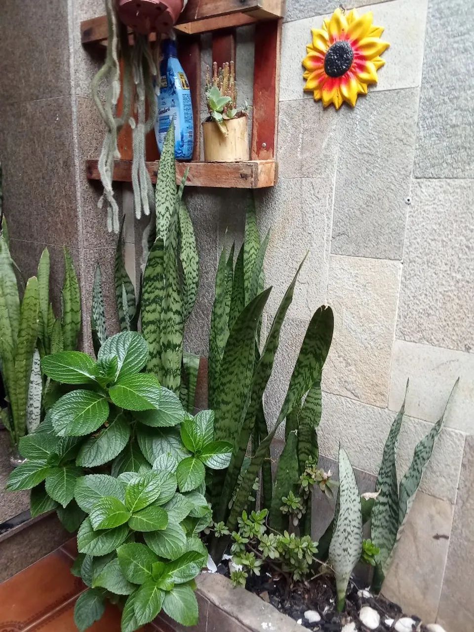 Vende Casa Moóca - Foto 2