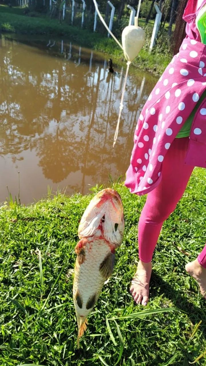 CHÁCARA A VENDA EM JUQUITIBA - SP - Foto 3
