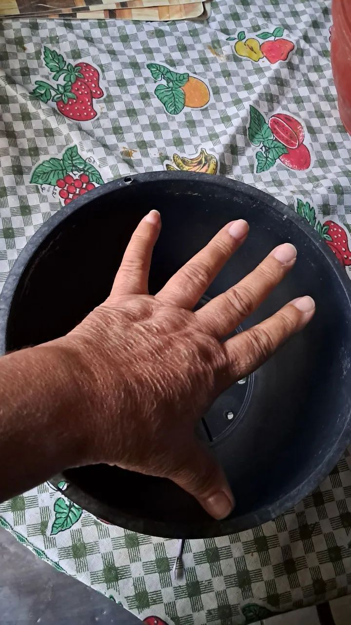 Cuias para plantas  - Foto 4