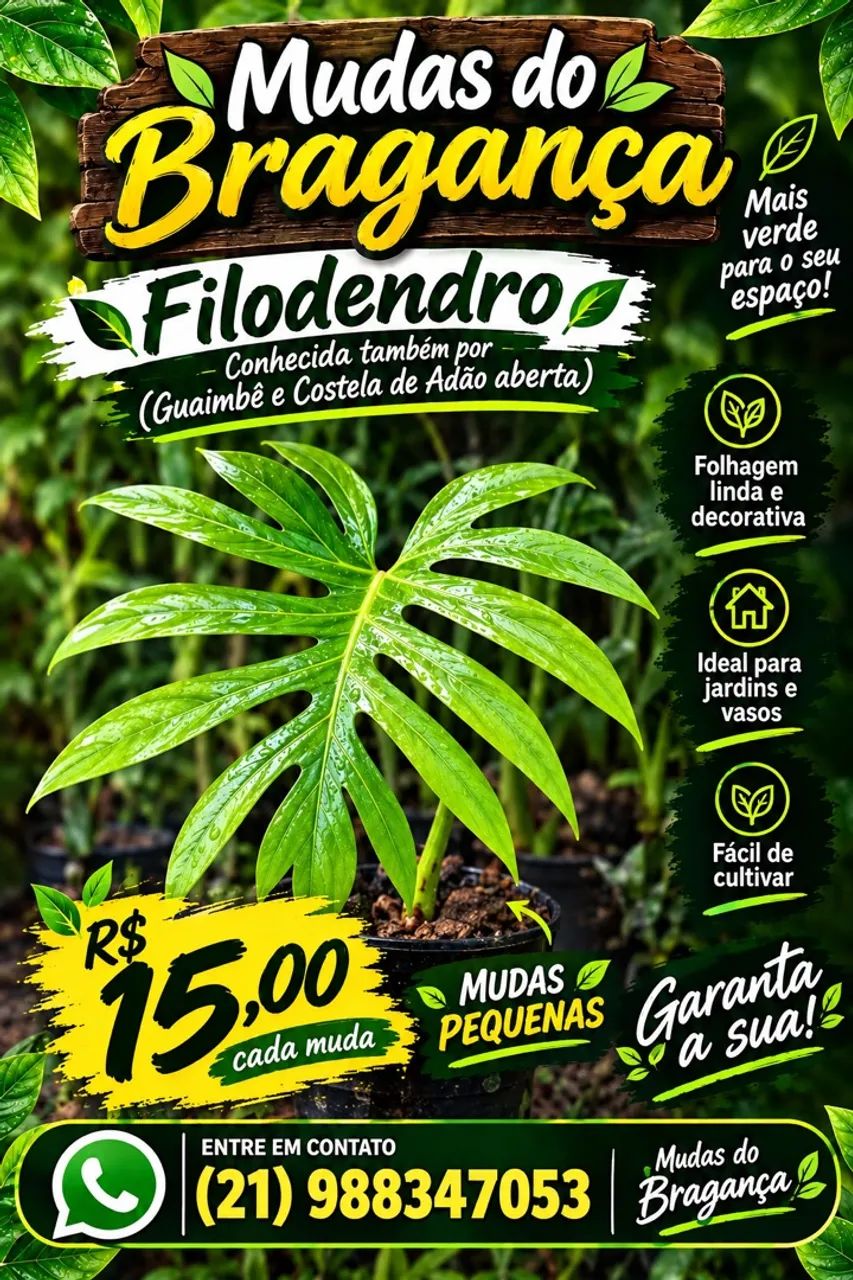 Planta 