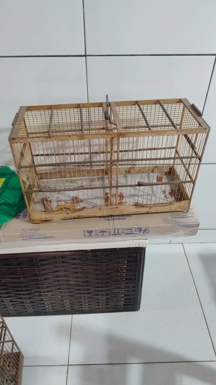 4 Gaiolas de qualidade  - Foto 3