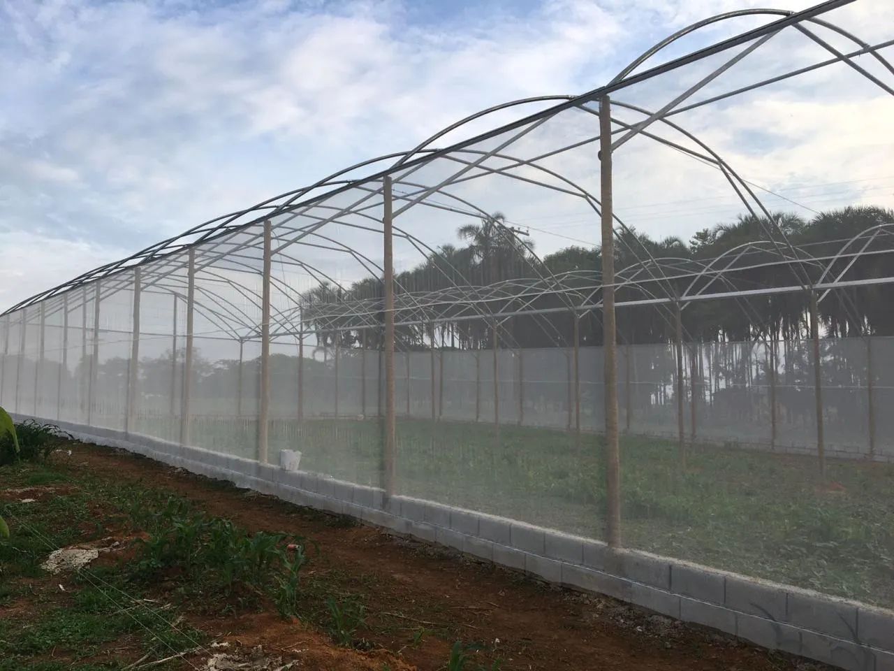 ESTUFA AGRÍCOLA 