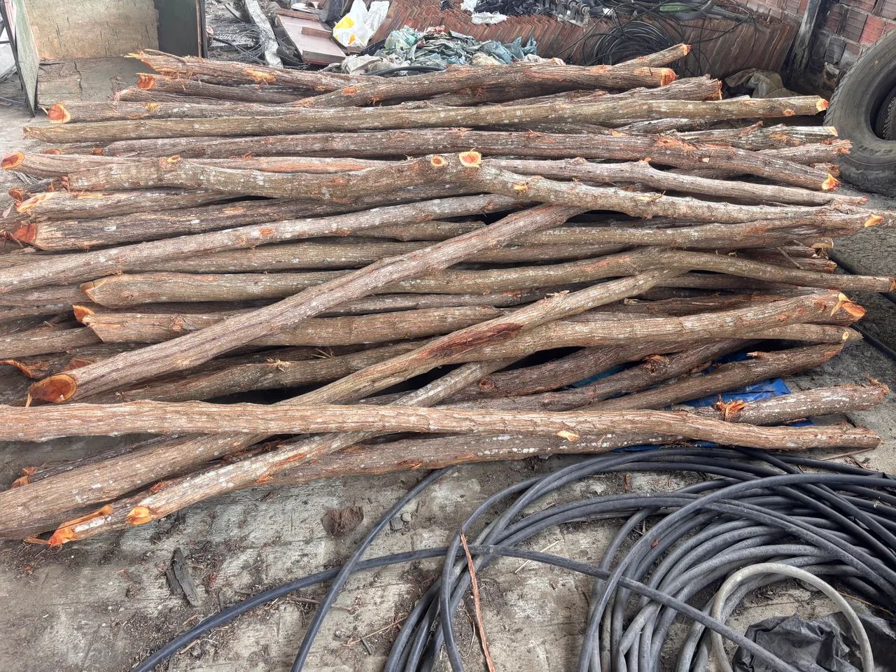 Mockingbird Posts64985880890881124