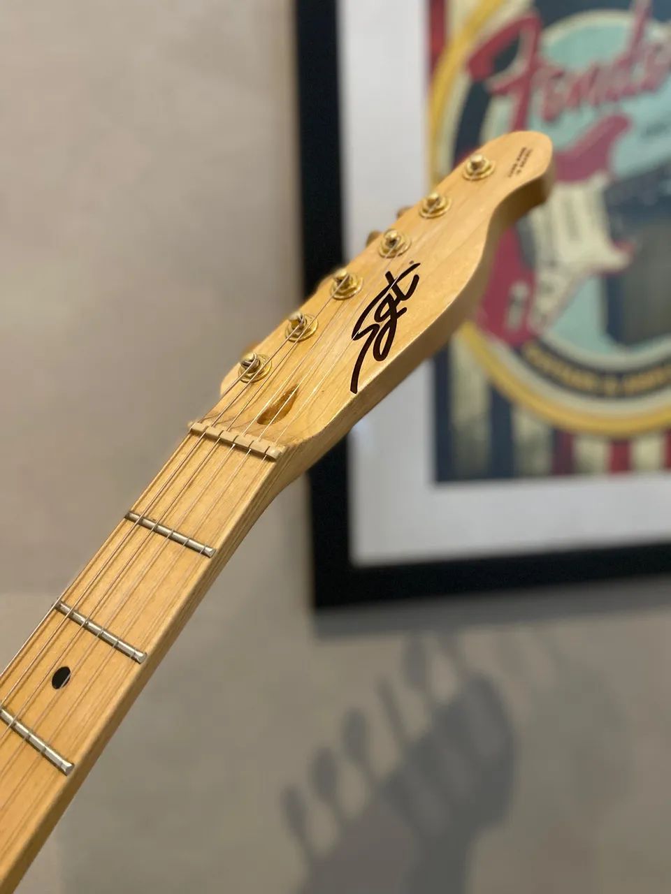 Guitarra SGT TC Custom Thinline!!! - Foto 4