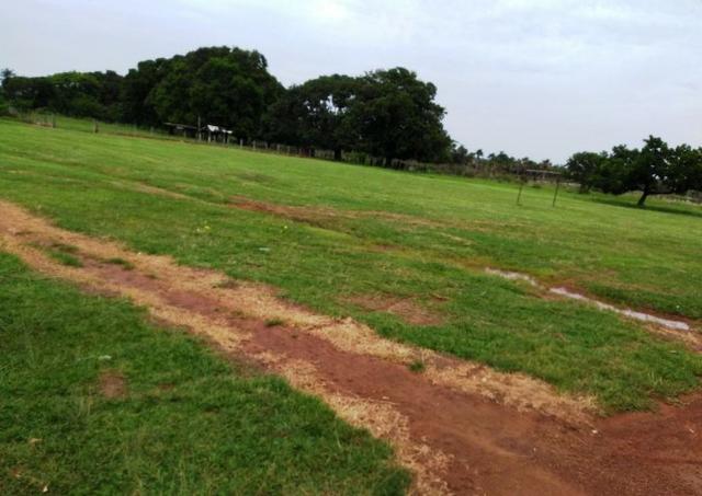 Fazenda 9.900 ha São Felix Do Araguaia - Foto 14