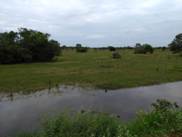 Fazenda 9.900 ha São Felix Do Araguaia - Foto 7