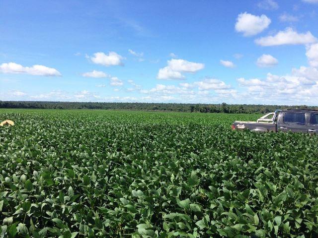 Fazenda 470 ha com 300 em Lavoura Matupá MT - Foto 3