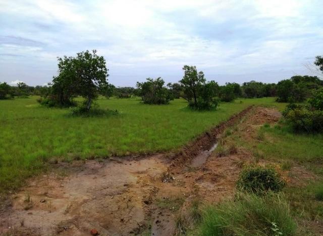 Fazenda 9.900 ha São Felix Do Araguaia - Foto 11