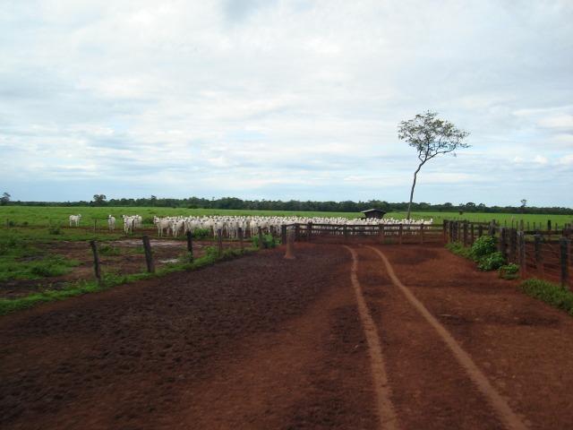 Fazenda 6,000 ha Vale do Araguaia MT. Cinematográfica
