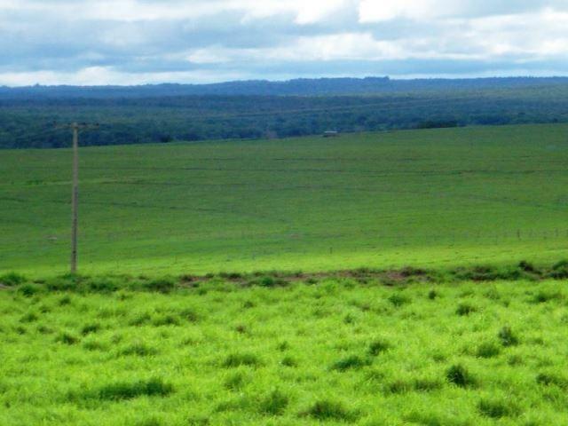 Fazenda 21.100 ha Diamantino MT - Foto 7