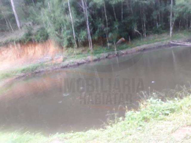Chácara para venda em campina grande do sul, capivari - Foto 2