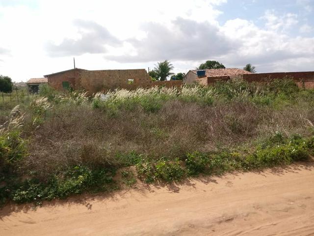 Terreno localizado na Taquarana - Foto 4