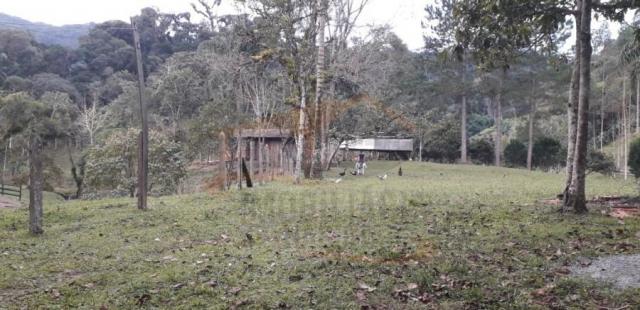 Chácara para venda, barra da cruz - Foto 17