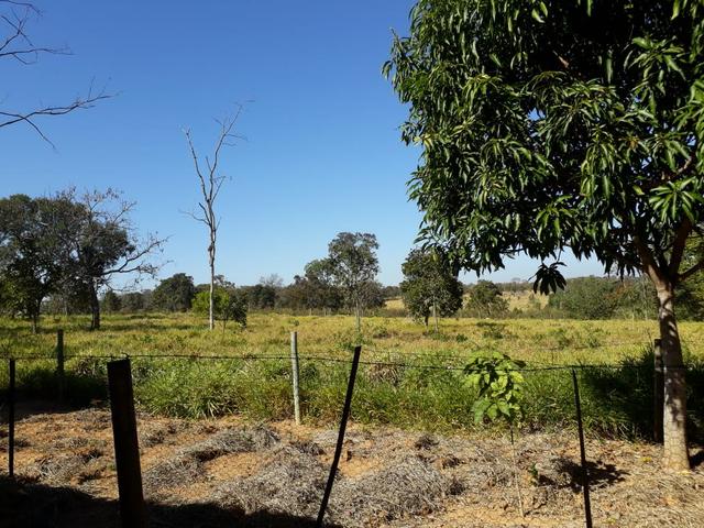 Vendo sítio em felixlândia !!!! - Foto 10