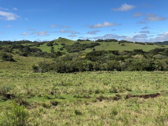 Fazenda 86 hectares Cazuza Ferreira - Foto 4
