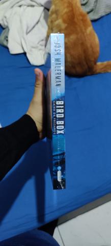 Livro BIRD BOX - Caixa de pássaros - Edição de Luxo - Foto 3