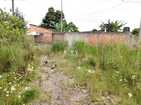 Terreno à venda em Borda do campo, São josé dos pinhais cod:11546.001 - Foto 6