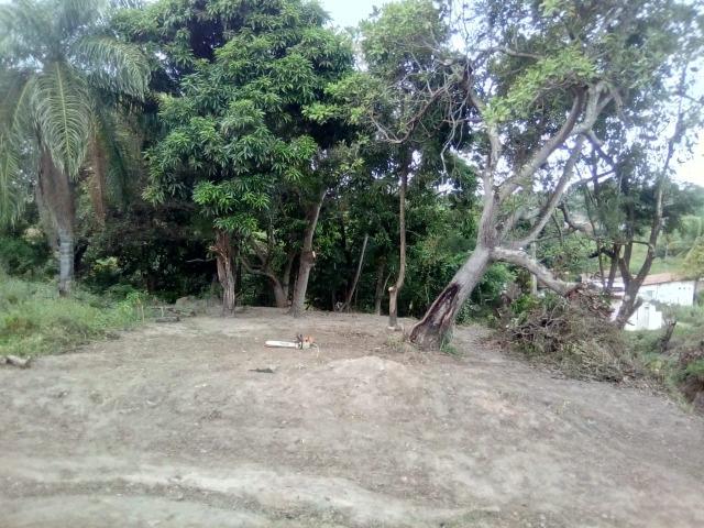 Terreno no pontal da ilha - Foto 3