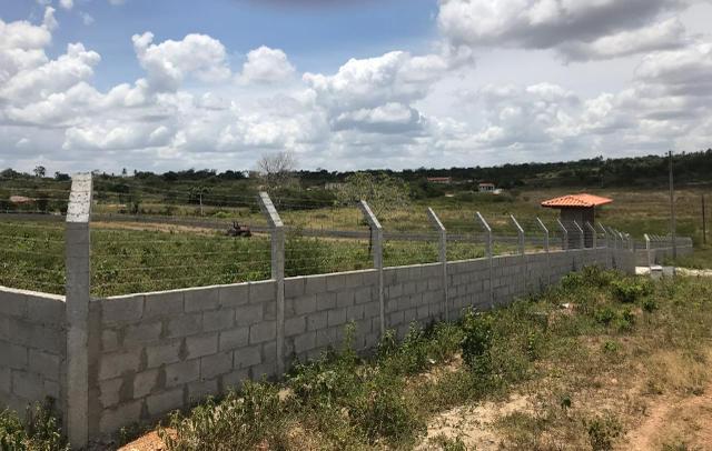 Terreno para chácara, no retiro de Coração de Maria - Foto 2