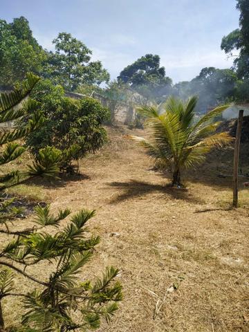 Terreno - Foto 4