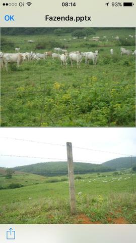 Venda-se está fazenda de 323 Alqueires no Estado de minas Gerais/MG
