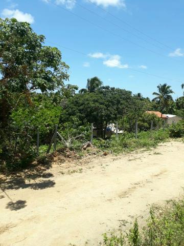 Terreno lindo em Japaratinga, proximo a praia e as bicas 950 m2 - Foto 4