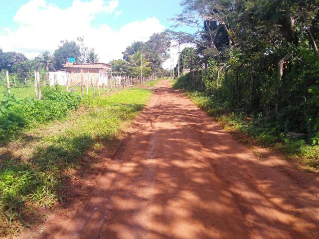 Terreno em Conceição do Jacuípe .Telefone * ou * - Foto 3