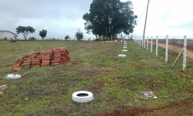 Chacrinha - Foto 2