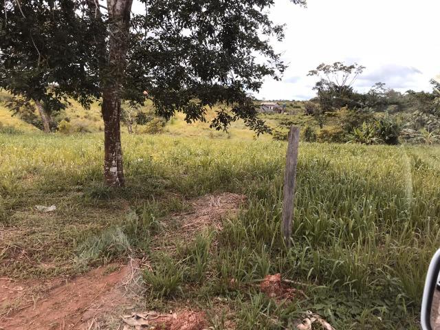 Vende-se terreno no Conjunto Panorama! - Foto 3