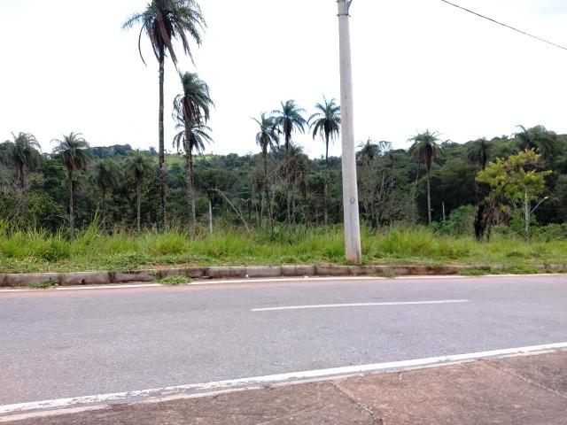 Lote 300m² C/Infraestrutura Completa Pronto Pra Construir e Morar - Foto 4