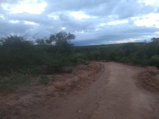 Fazenda - Foto 5