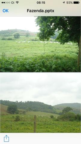 Venda-se está fazenda de 323 Alqueires no Estado de minas Gerais/MG - Foto 3