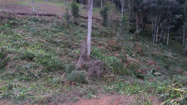 Terreno parcelado alto gasparinho - leia o anúncio - Foto 12