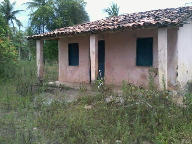 Sítio - Foto 8