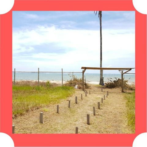 Lotes em Saubara, Costa de Itapema- Pagamento Facilitado, Praia Privativa - Foto 19