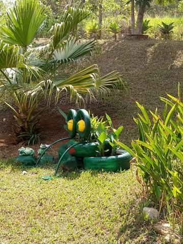 Sitio com agua em Claudio MG - Foto 17