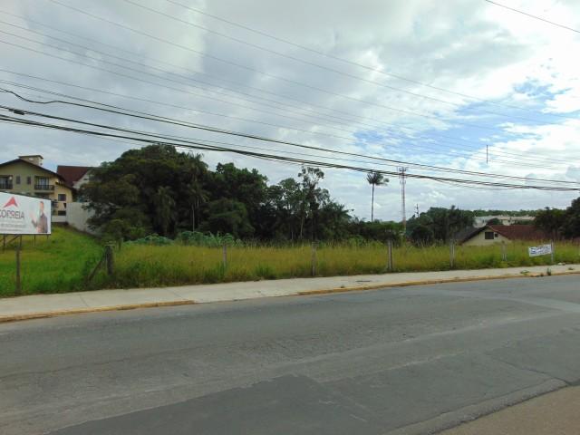 Terreno para alugar em Atiradores, Joinville cod:30040.012 - Foto 2