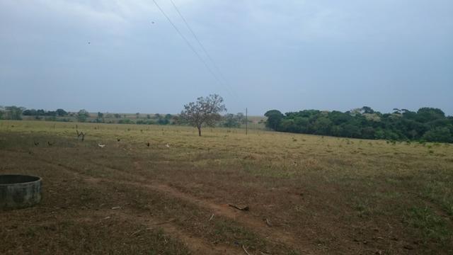 Fazenda para lavoura de 44 alqueires a venda na região de Caldas Novas GO - Foto 6