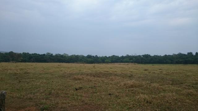 Fazenda para lavoura de 44 alqueires a venda na região de Caldas Novas GO - Foto 4