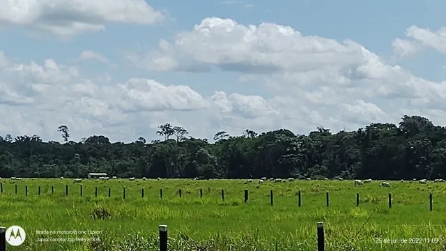 R$ 5 milhões de reais fazenda com 532 hectares pronta no Pará