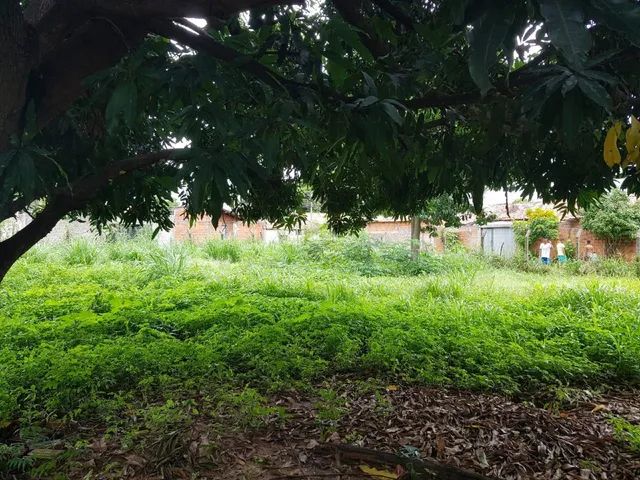 R.SANTA DE VIRGENS-SANTA BARBARA - Foto 5