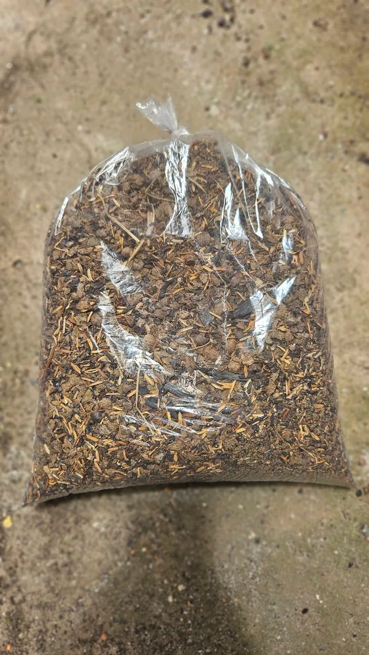 SUBSTRATO PARA PLANTAS