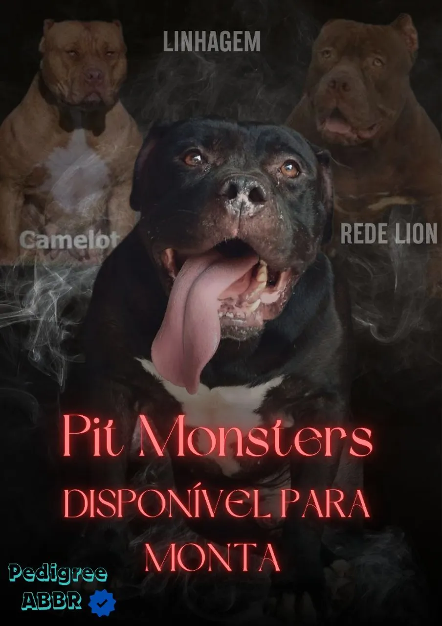 Pitmonster disponível para monta 