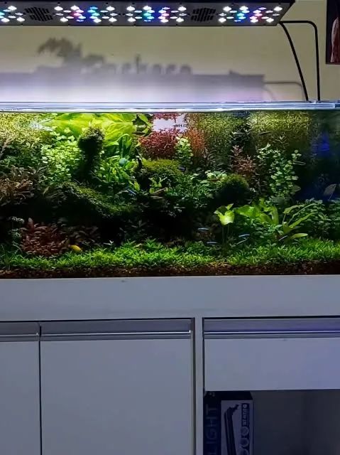 Aquario64584521982465120