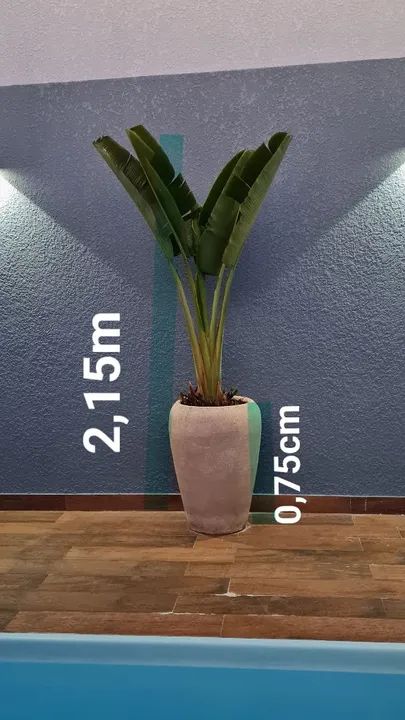 Vaso com planta  - Foto 2