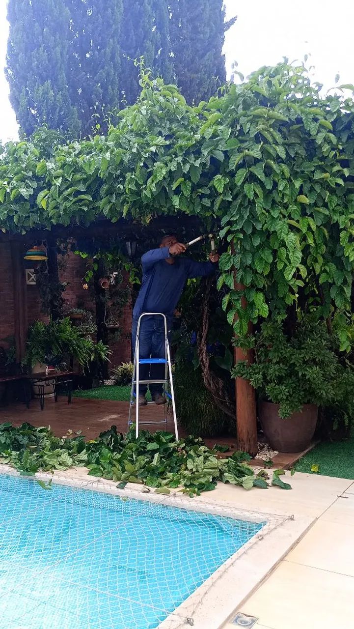 Jardineiro e paisagista com CNPJ trabalhamos com Residêncial e Empresas
