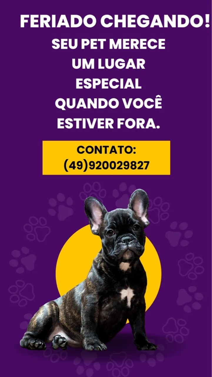 Hospedagem para seu pet no feriado! - Foto 2