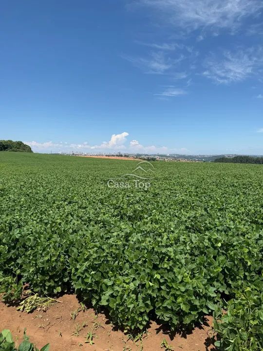 Terreno à venda Neves - Foto 3