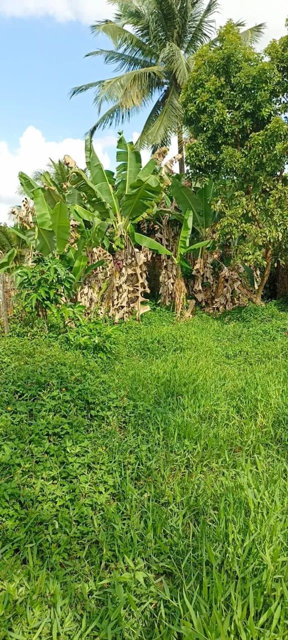 Vende se um terreno em Dias D'Ávila BA  - Foto 6