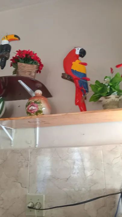 Imagem e enfeites  - Foto 5